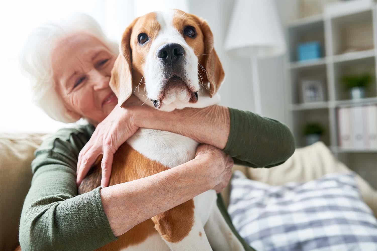 Top Emotional Support Animal Dog Breeds - Pawz